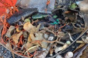 world clean up day 2024 _5